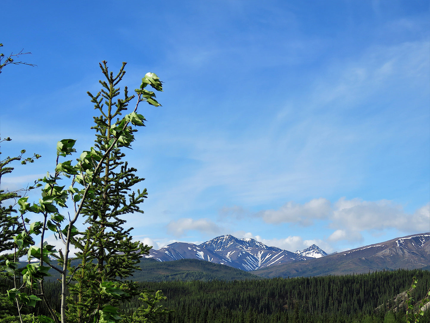 Photo Snow Covered Mountain in the distance Denali National Park Alaska