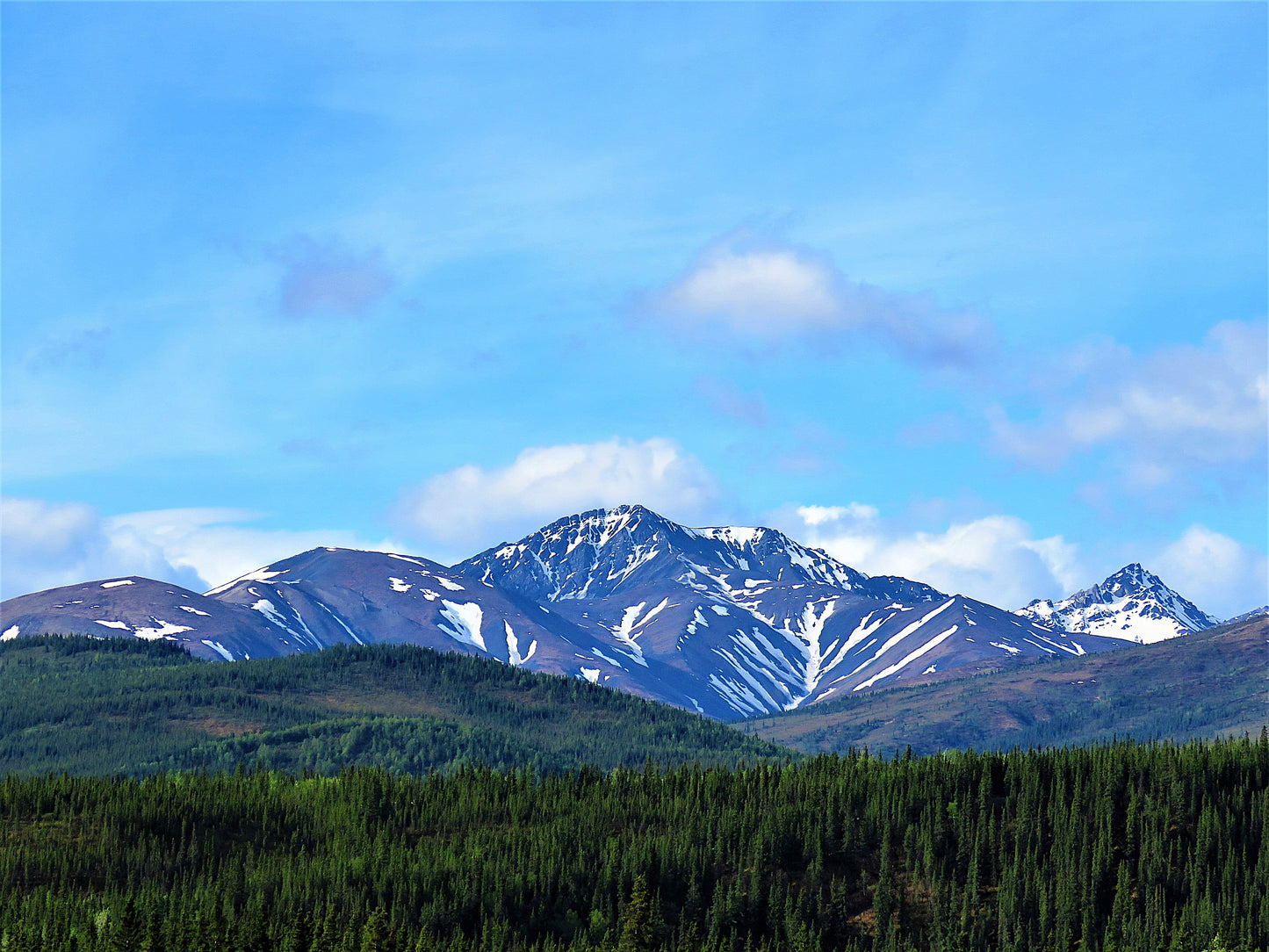 Photo Snow Covered Mountain in Denali National Park Alaska