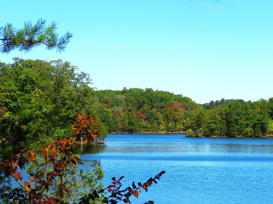 Photo Autumn Just Getting Started Along a River in Tennessee