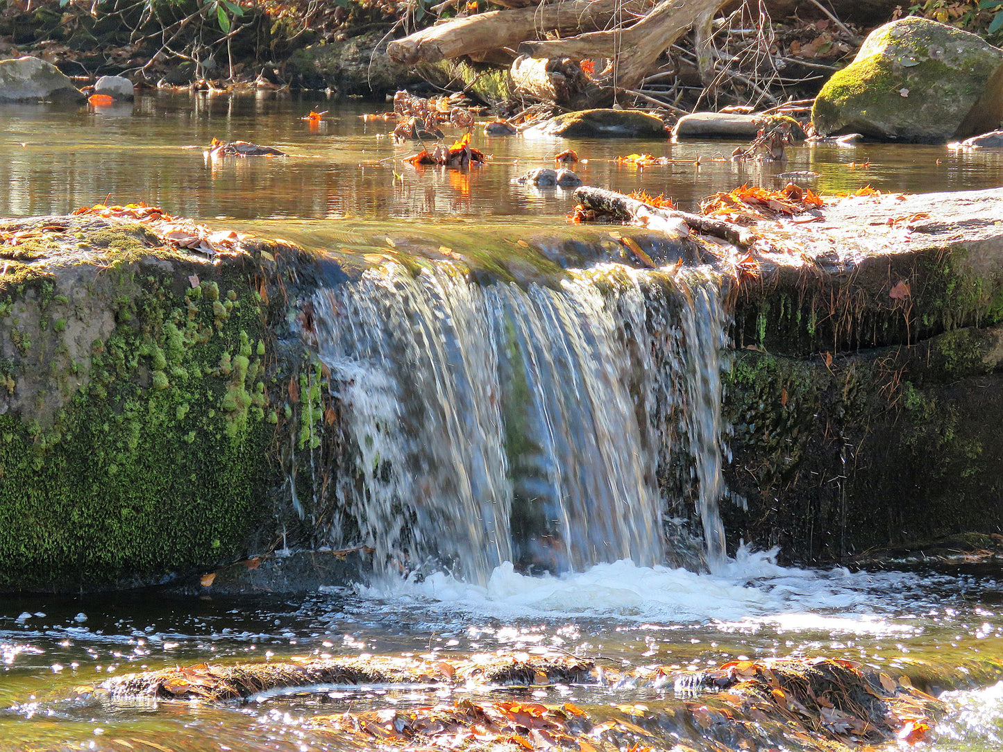 Photo Autumn Bald River Falls Waterfall Tennessee