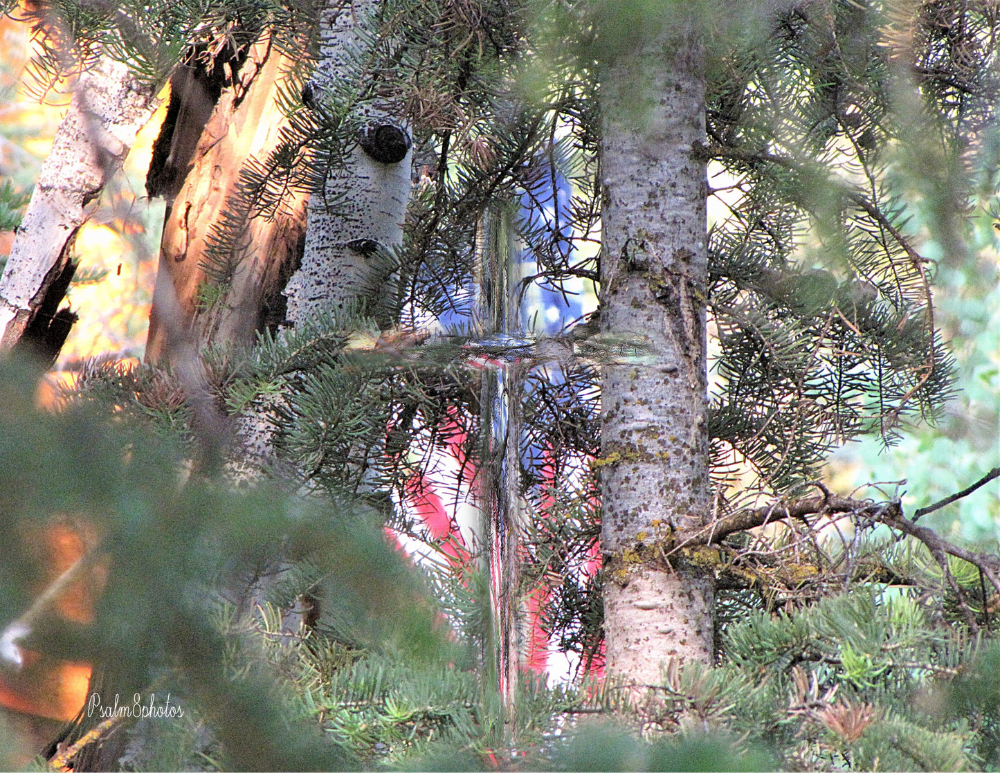 Photo Cross American Flag Pine Trees Forest Duck Creek Village Utah