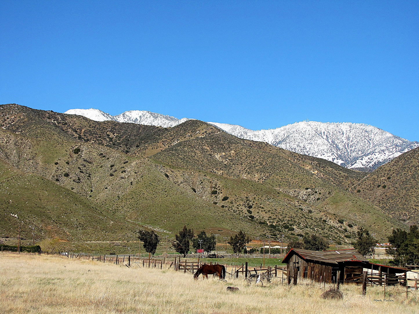 Photo Horse Grazing Old Shed Snow Covered Mountain Blue Sky Morongo Reservation Banning California