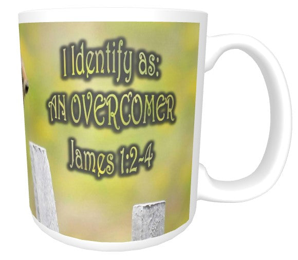 CUPS I Identify as: OVERCOMER James 1:2-4 Mug Kid Cup Thermos Bottle