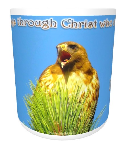 CUPS I Identify as: STRONG Philippians 4:13 Hawk Mug Kid Cup Thermos Bottle