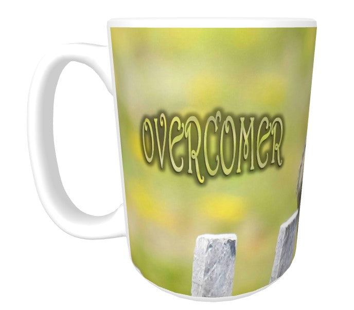 CUPS I Identify as: OVERCOMER James 1:2-4 Mug Kid Cup Thermos Bottle