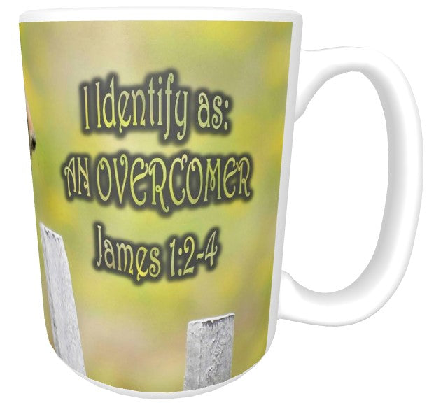 CUPS I Identify as: OVERCOMER James 1:2-4 Mug Kid Cup Thermos Bottle