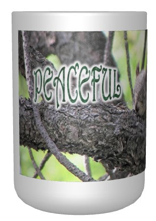 CUPS I Identify as: PEACEFUL Philippians 4:6-7 Mug Kid Cup Thermos Bottle