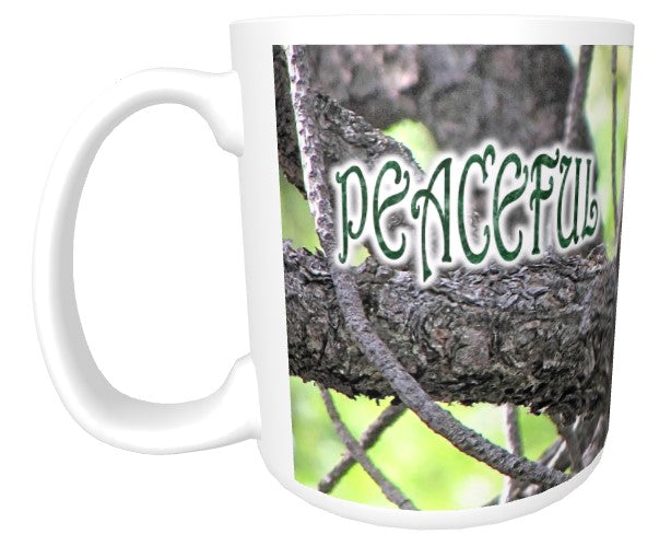 CUPS I Identify as: PEACEFUL Philippians 4:6-7 Mug Kid Cup Thermos Bottle