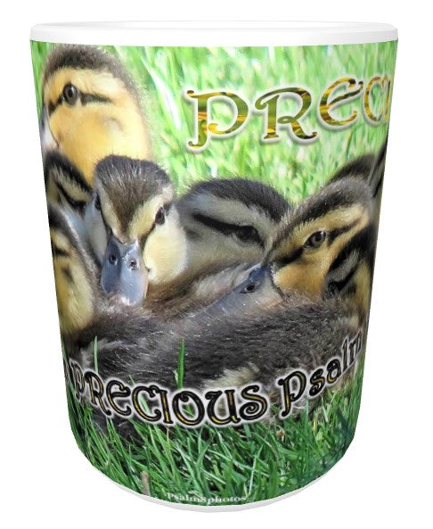 CUPS I Identify as: PRECIOUS Isaiah 43:4 Mug Kid Cup Thermos Bottle