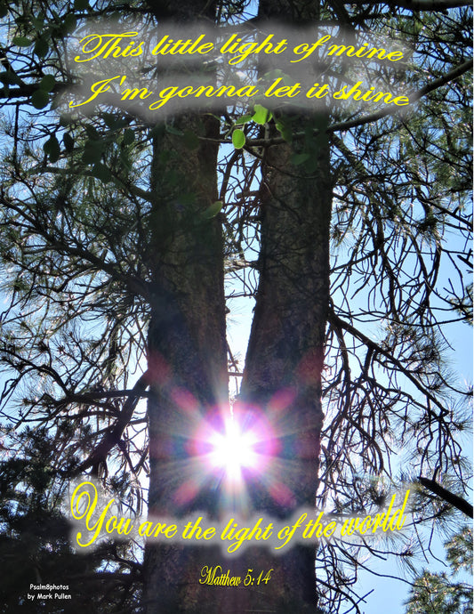 Photo Scripture Picture Split Pine Tree with Sun Duck Creek Village Utah Matt 5:14