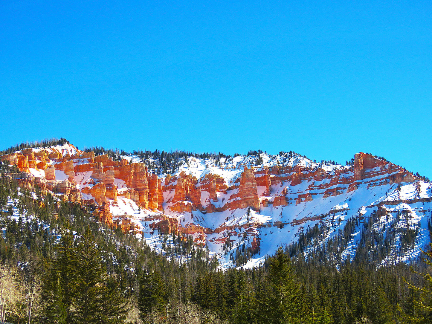 Photo Snow Covered Cliffs Pine Trees Blue Sky Duck Creek Village Utah