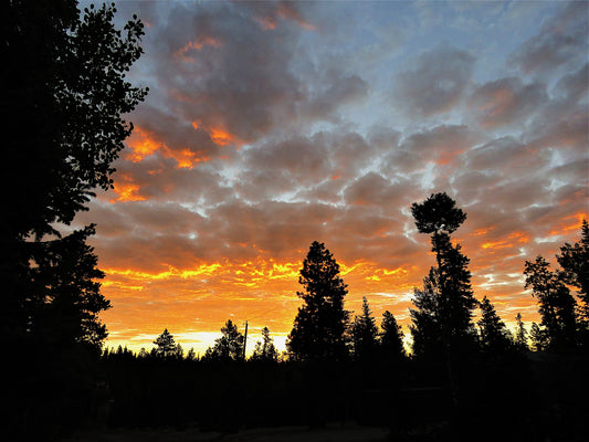 Photo Sunrise In Duck Creek Orange and Yellow Clouds Pine Trees Duck Creek Village Utah