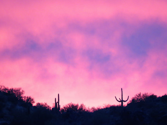 Photo Pink Blue Sunset Saguaro Cactus Cave Creek Arizona