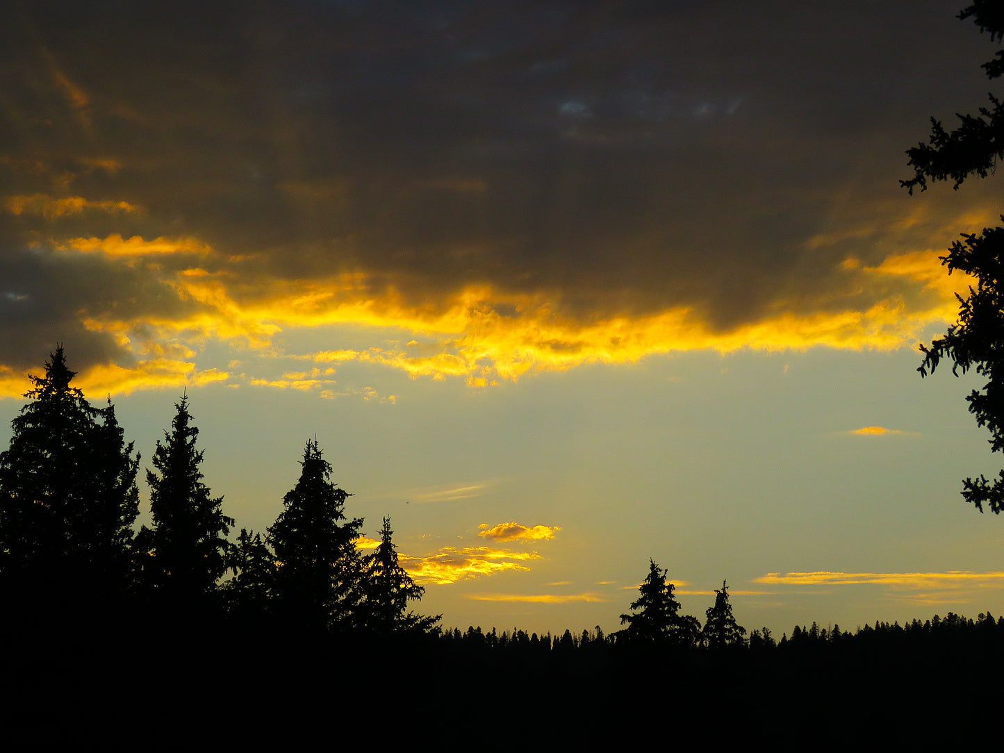 Photo Sunset Yellow Clouds Pale Blue Sky Pine Trees Duck Creek Village Utah