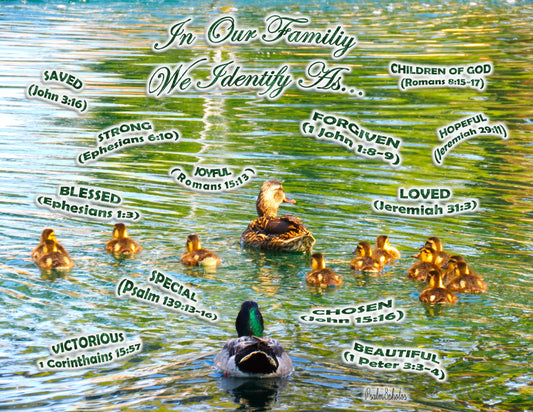 Photo I Identify as Collection Duck Family Pond Cherry Valley California