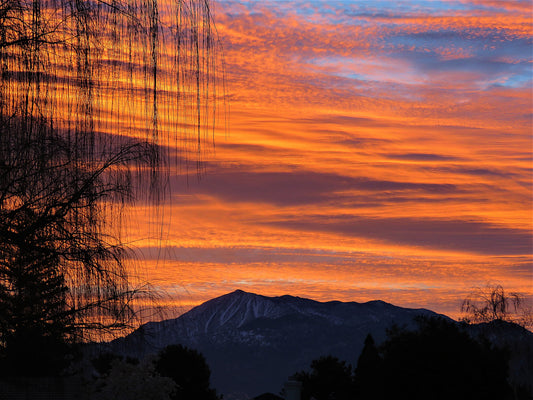 Photo Orange Sunrise Willow Tree San Jacinto Mountain Cherry Valley California