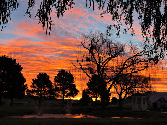 Photo Orange and Blue Sunrise Willow and Pine Trees Pond Cherry Valley California