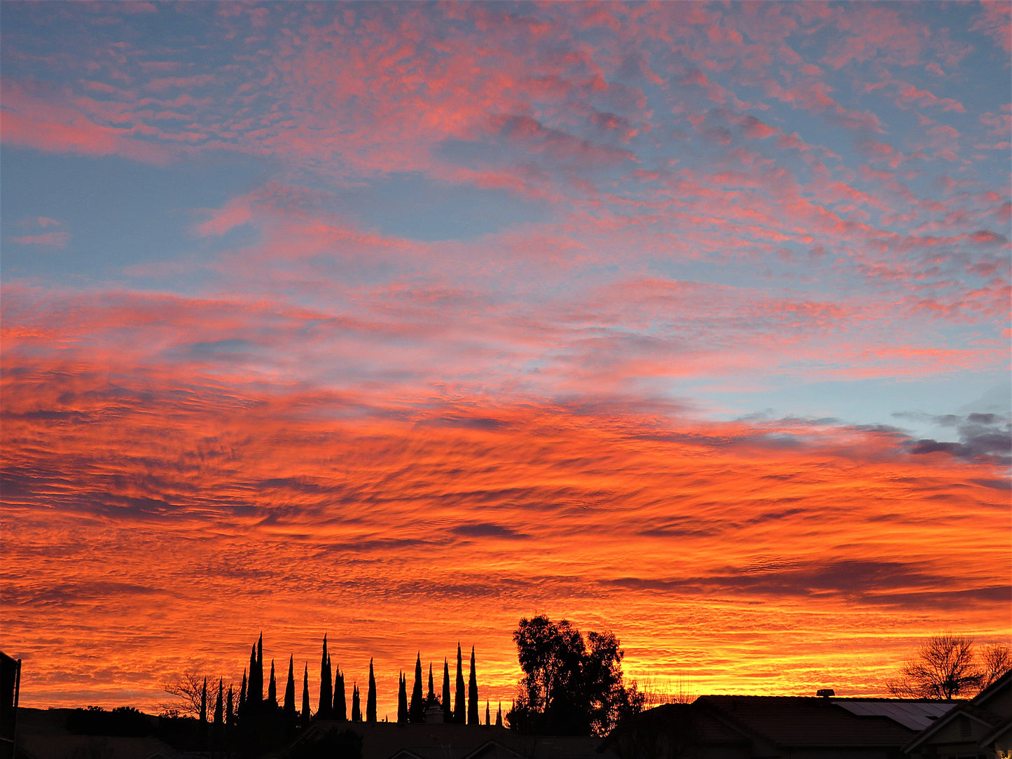 Photo Spectacular Orange Blue Yellow Sunrise Trees Cherry Valley California