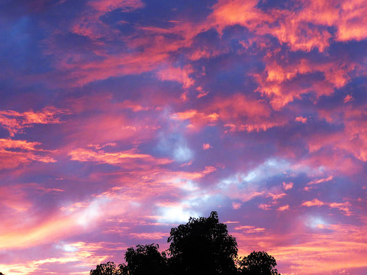 Photo Spectacular Red Orange Blue Yellow Sunset Trees Cherry Valley California