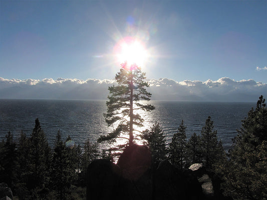 Photo Sunset Over Pine Tree Lake Cloud Covered Mountains Lake Tahoe California