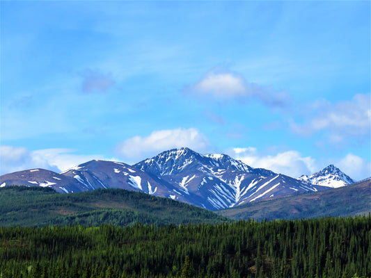 Photo Snow Covered Mountain in Denali National Park Alaska