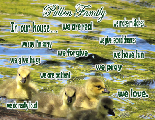 Photo Family Love San Bernardino California Baby Geese Pond