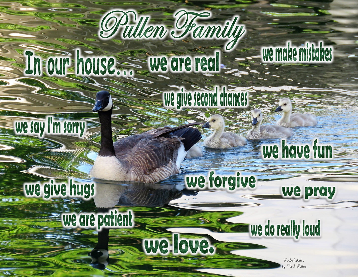 Photo Family Love San Bernardino California Family of Geese Pond