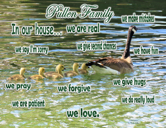 Photo Family Love San Bernardino California Another Family of Geese Pond