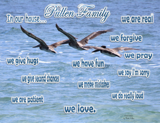 Photo Family Love ocean Southern California Three Pelicans Customize
