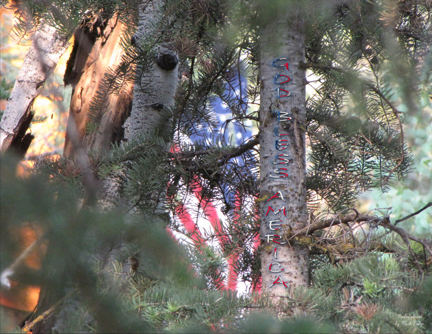 Photo Inspirational Quote God Bless America, Pine Trees, American Flag, Duck Creek Village, Utah