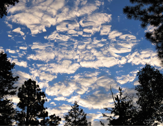 Photo Jesus Clouds, Pine Trees, Sunrise, Duck Creek Village, Utah