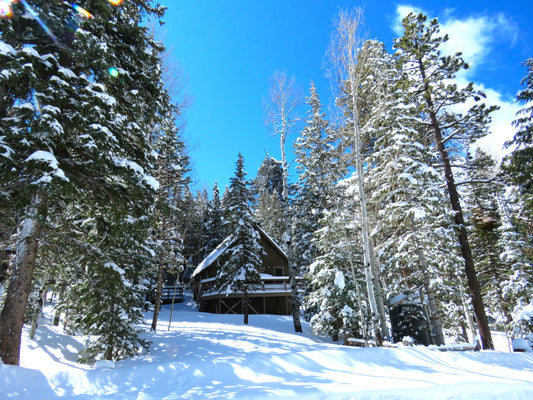 Photo Snowy Cabin in the Forest Duck Creek Village Utah