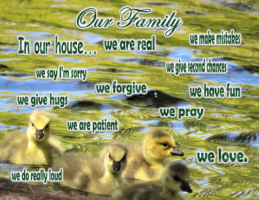 Photo Family Love San Bernardino California Baby Geese Pond