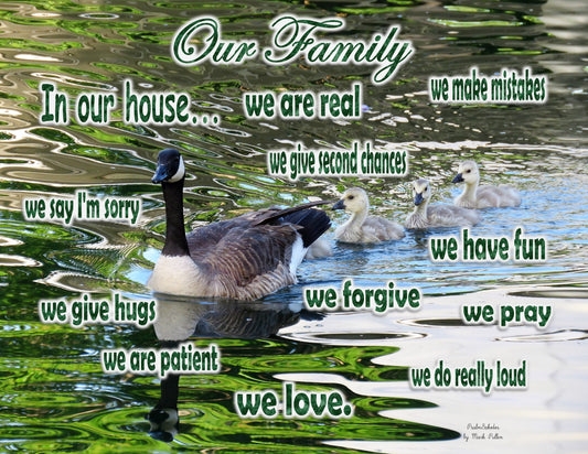 Photo Family Love San Bernardino California Family of Geese Pond