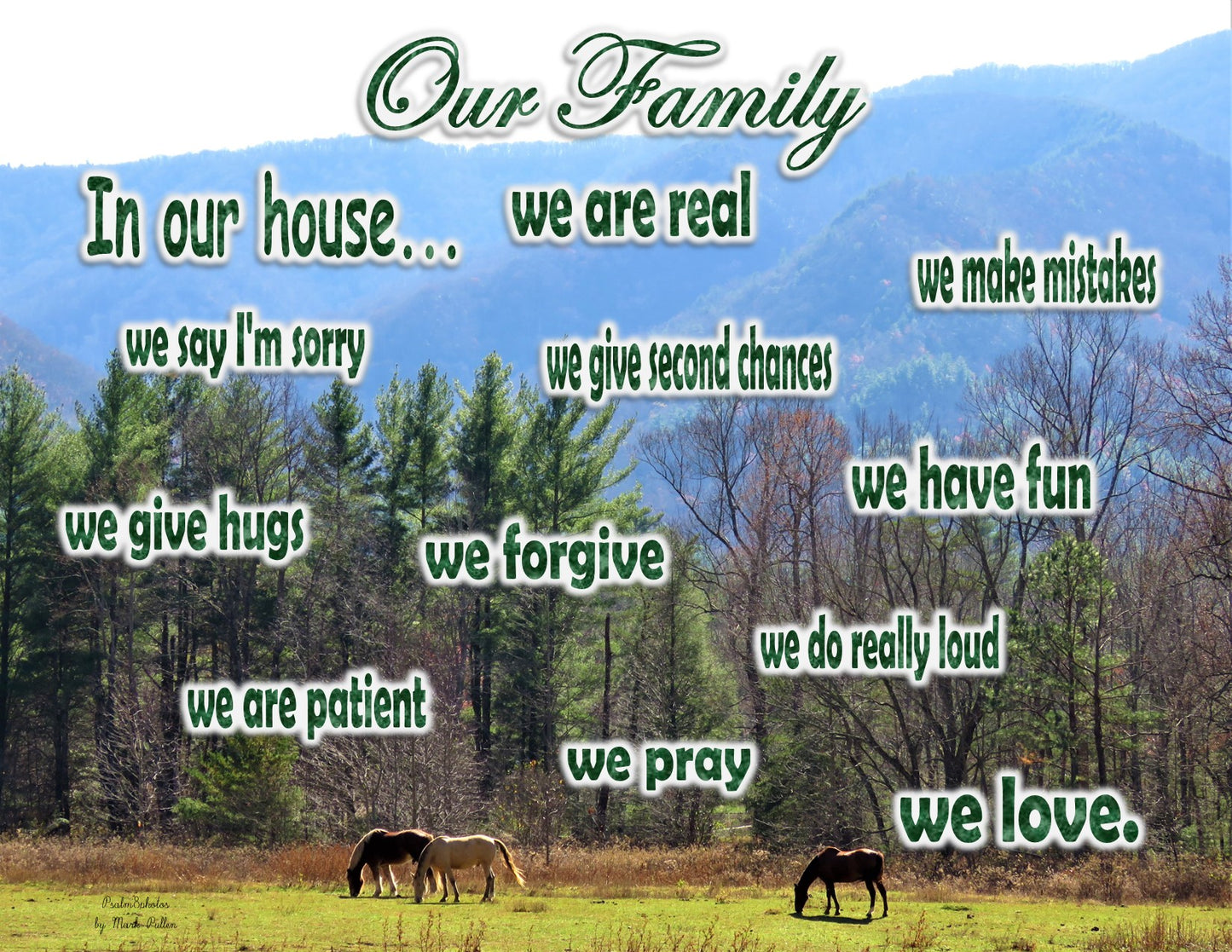 Photo Family Love Horses in Meadow Smokey Mountains Tennessee Customize