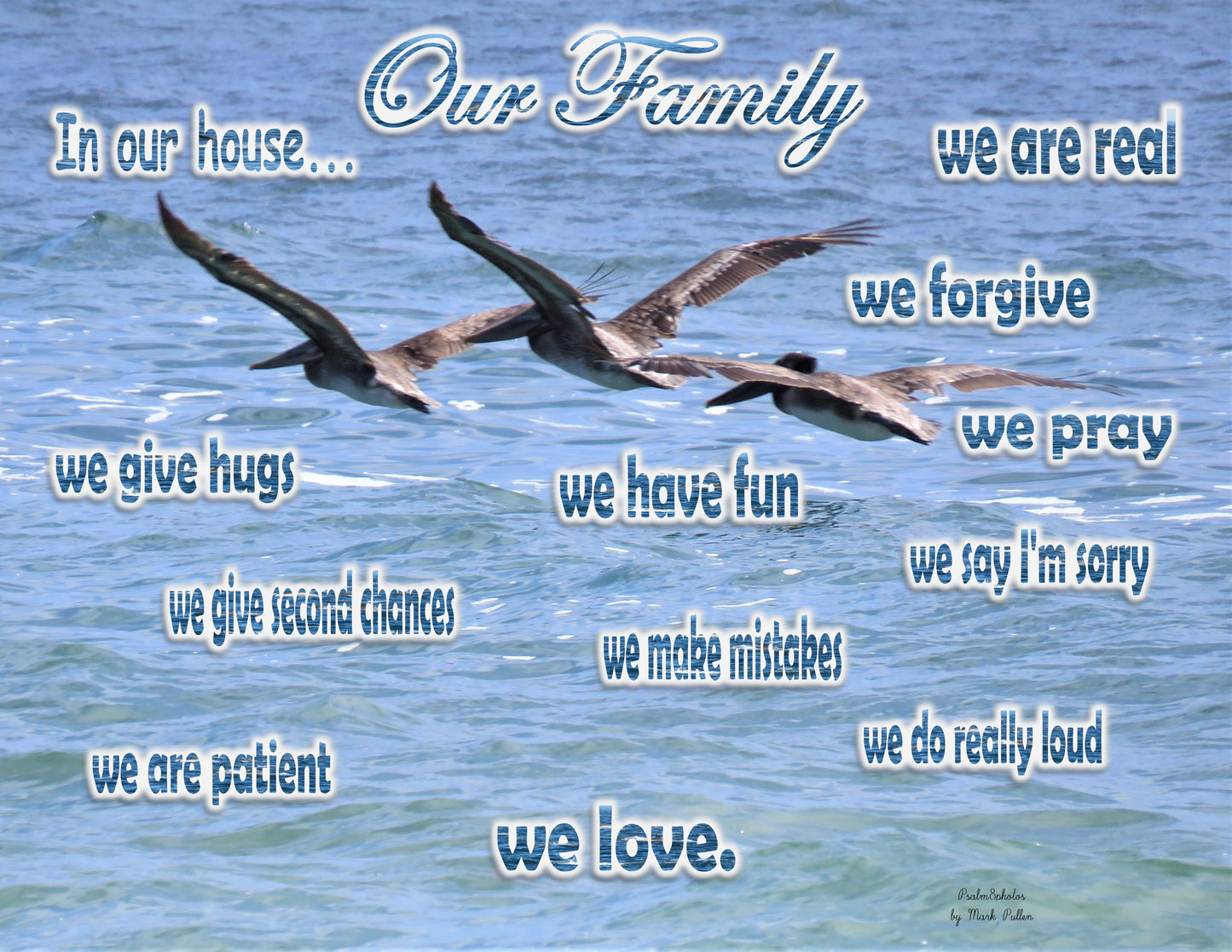 Photo Family Love ocean Southern California Three Pelicans Customize