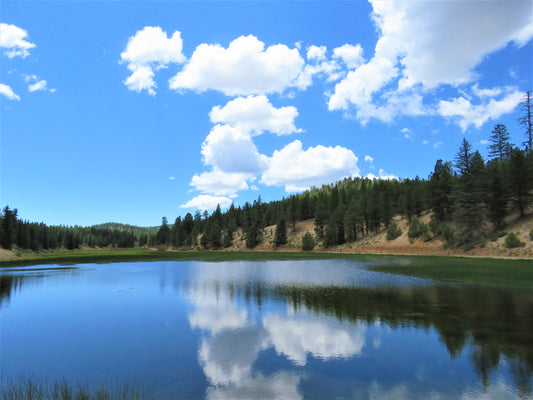 Photo Peaceful Pond in Meadow Reflecting Clouds Duck Creek Village Utah