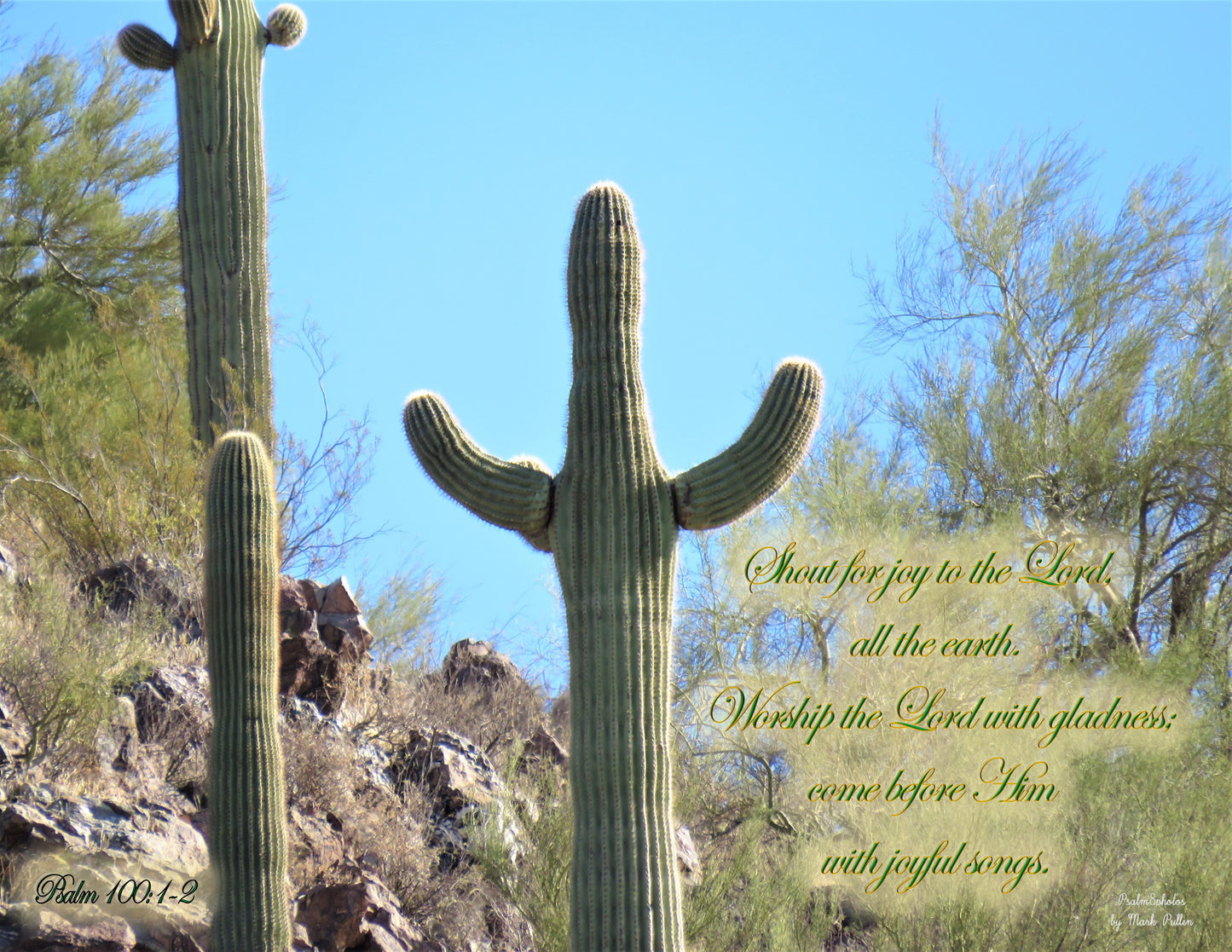 Photo Scripture Picture Saguaro Cactus, Arizona Desert, Psalm 100:1-2