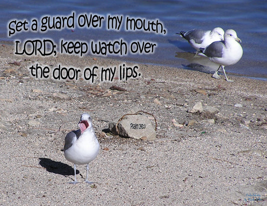 Photo Scripture Picture Seagulls, Lake Arrowhead, California, Psalm 141:3