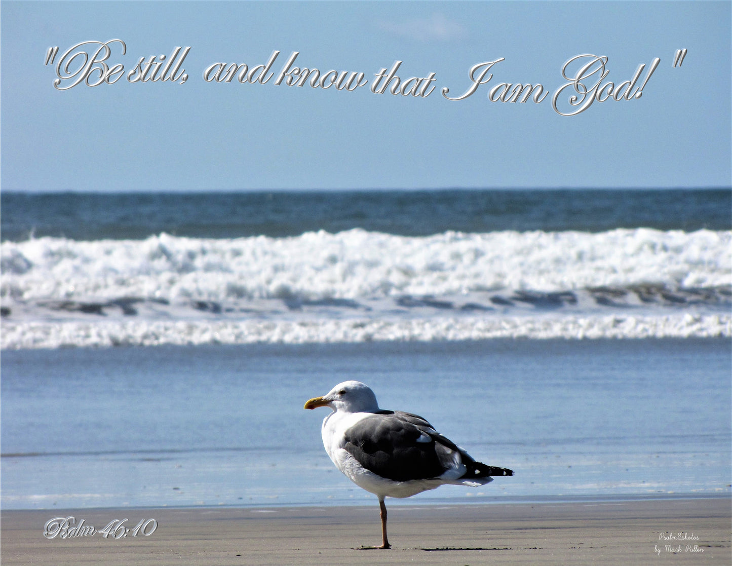 Photo Scripture Picture Solitary Seagull Oceanside California Psalm 46:10