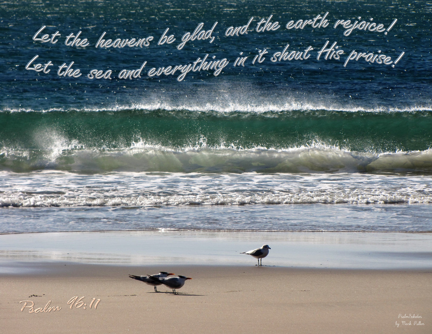 Photo Scripture Picture Seagulls at Attention and Waves Oceanside California Psalm 96:11