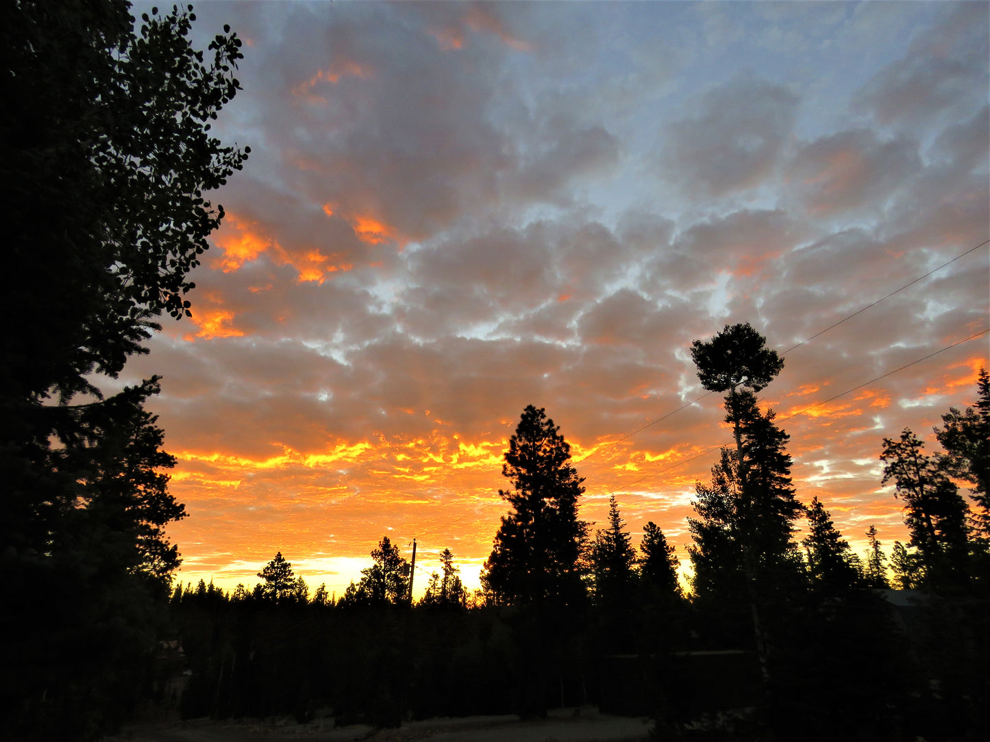 Photo Sunrise In Duck Creek Orange and Yellow Clouds Pine Trees Duck Creek Village Utah